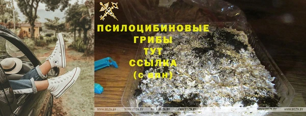 PSILOCYBIN Волоколамск