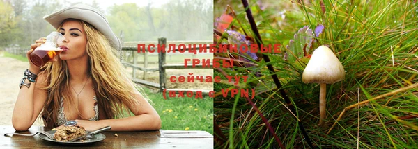 PSILOCYBIN Волоколамск
