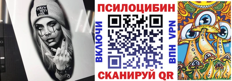 Купить закладки  Мценск  Псилоцибиновые грибы Psilocybe 